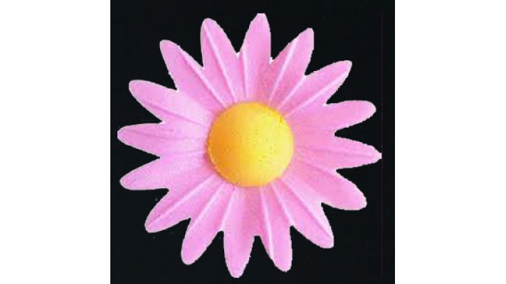 MArguerite azyme rose MArguerite azyme rose